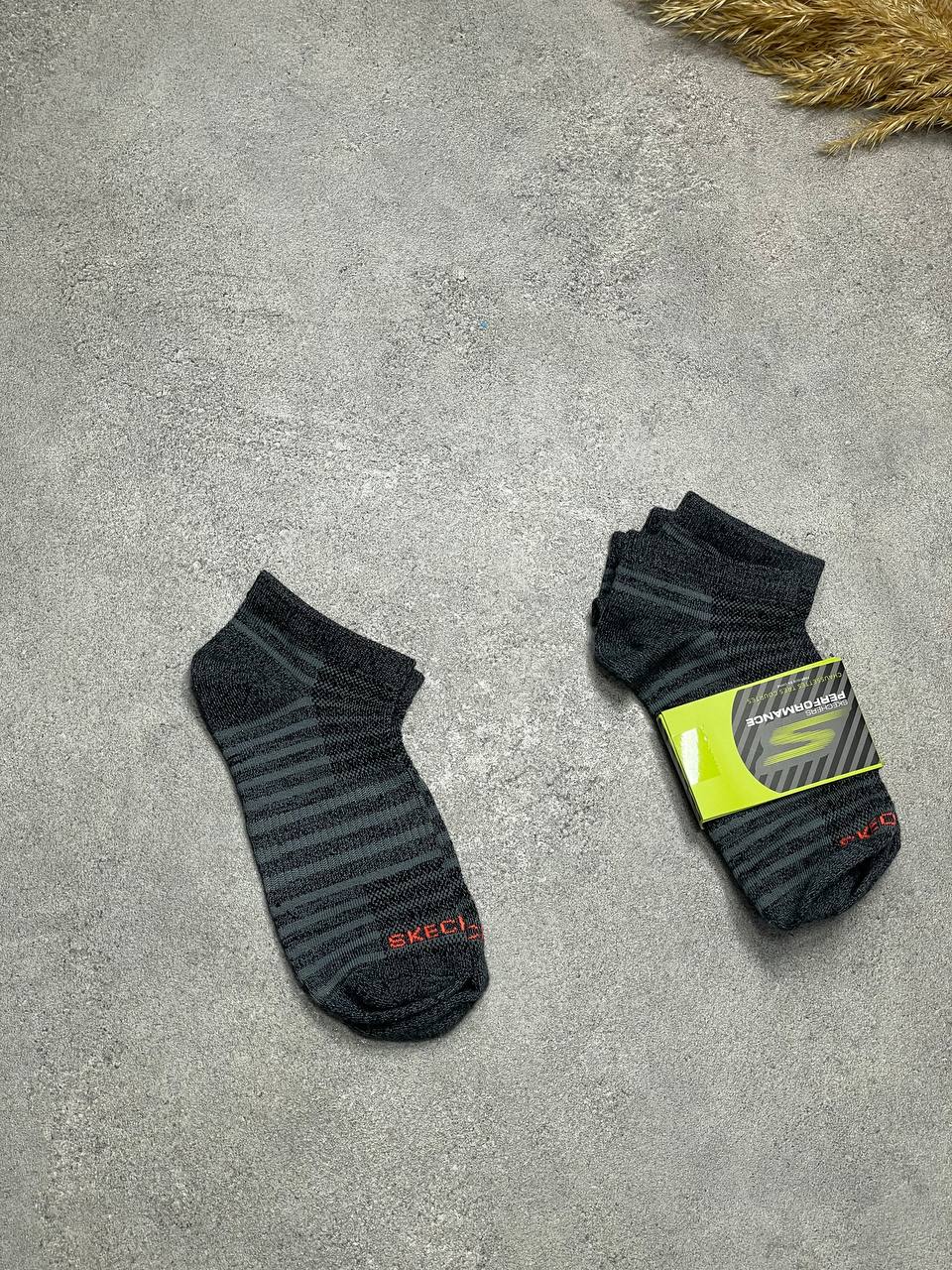 photo_2025-08-12_05-37-46 اسکی چرز