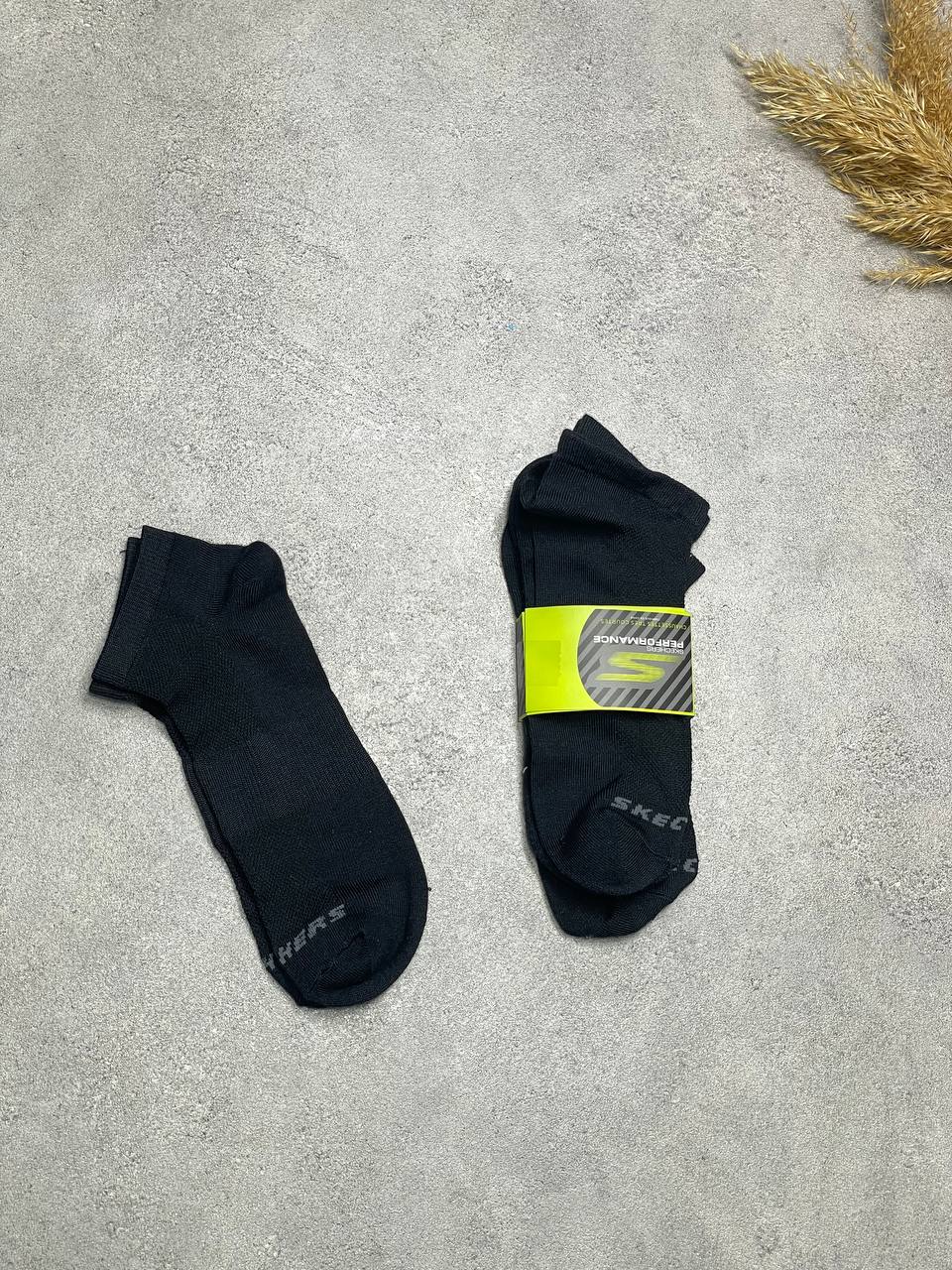 photo_2025-08-12_05-45-50 اسکی چرز